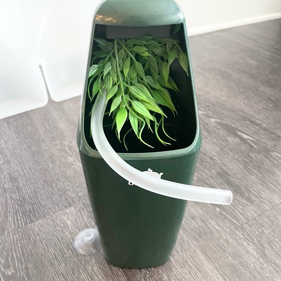 Automatic water dispenser for reptile terrarium